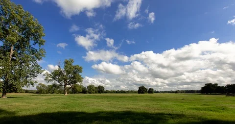 Time Lapse Clouds and Blue Sky over Grass Pasture Vídeos de archivo 96922475