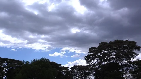 Time lapse of clouds and blue sky, Kenya, Africa. Stock Footage 99425832