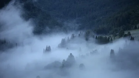 Time lapse clouds and fog moving over pine tree highland forest. Foggy mornin Stock Footage 92077575