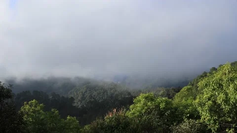 Time lapse of clouds and fog cover forest mountain Stock Footage