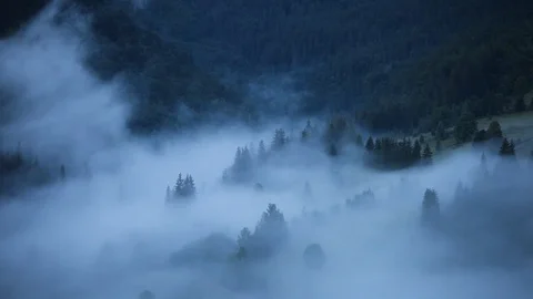 Time lapse clouds and fpg moving over pine tree highland forest. Foggy mornin Stock Footage 91930607