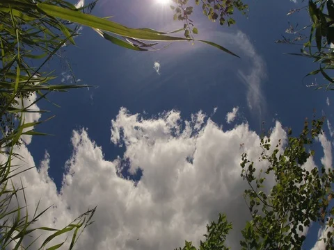 Time lapse clouds and the grass Video stock 76876926