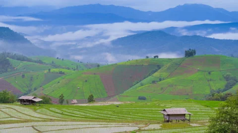 Time lapse clouds and mist float on rice farm of chiang mai, thailand Stock Footage 40564617