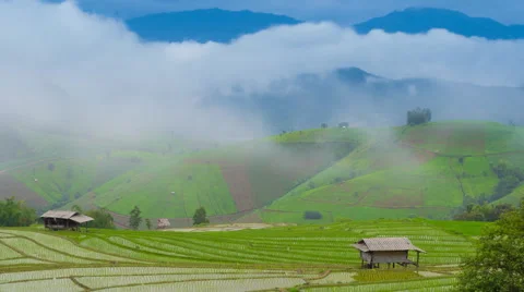 Time lapse clouds and mist float on rice farm of chiang mai, thailand Stock Footage 40569420