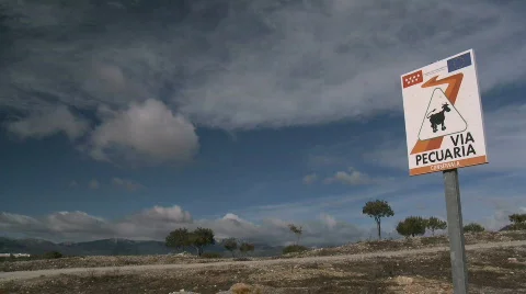 Time lapse clouds and nature Stock Footage 612870