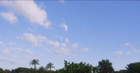 Time lapse clouds and palm trees Stock Footage 272463575
