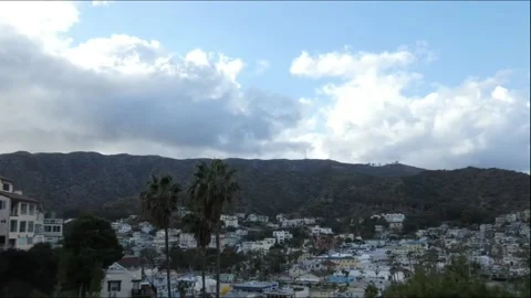 Time Lapse Clouds and palms 3 Stock Footage 172601389