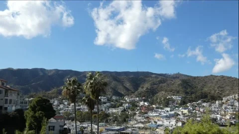 Time lapse clouds and Palms 1 Stock Footage 172603742