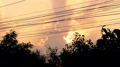 Time lapse of clouds and shadow of the tree moves in the wind blowing on sunset  Stock Footage 132275587