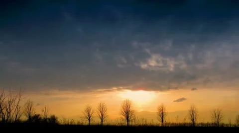 Time lapse clouds and silhouettes of trees. Stock Footage 10888633