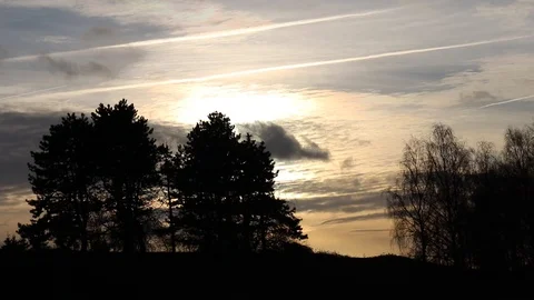 Time lapse of clouds and sunset behind trees Stock Footage 104458001