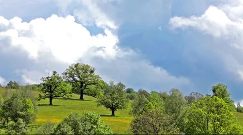 Time-lapse with clouds and trees Video stock 44384197
