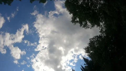 Time-Lapse Clouds and Trees HD 1080  59s Video stock 249351634