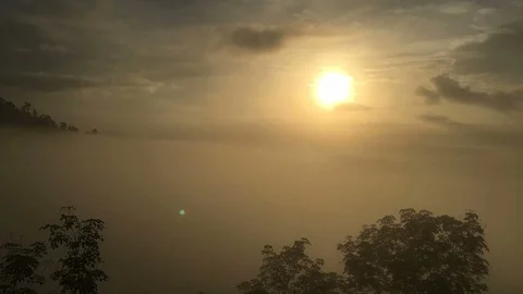 Time lapse - clouds are moving over the forest area Stock Footage 103585991