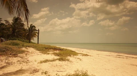 Time lapse of clouds at the beach with palms Video stock 39617827