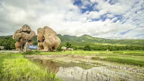 Time lapse of clouds behind man made straw gorillas statues in Huay Tung Tao Stock Footage 198780531