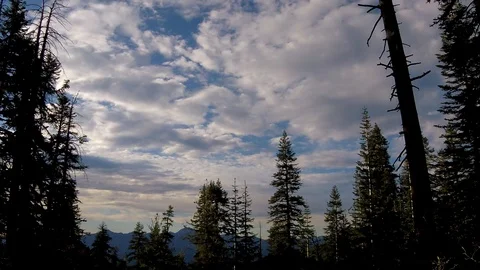 Time lapse of clouds blowing by with trees in foreground Stockbeeldmateriaal 121499401