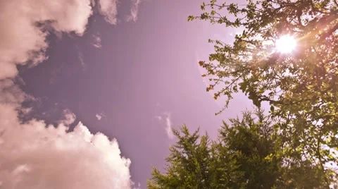 Time Lapse of Clouds, blue sky and trees Stock Footage 7750323