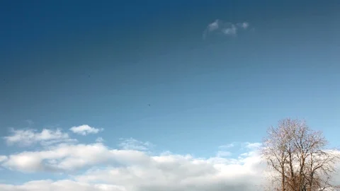 Time lapse of clouds in a blue sky with a tree Vídeos de archivo 106539240