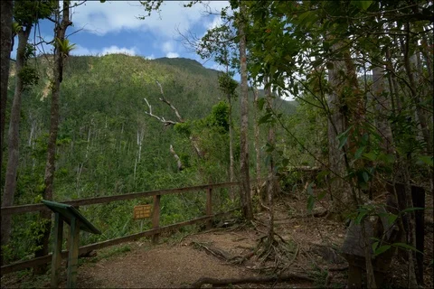Time lapse of clouds creating shadows on jungle floor Stockbeeldmateriaal 91167267