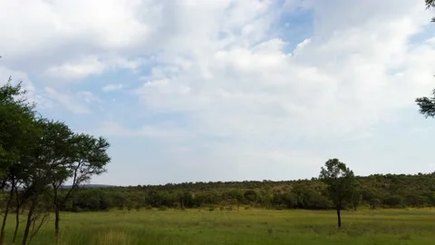 Time lapse of clouds crossing green field with trees in background Stock Footage 155385682