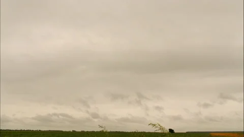 Time lapse of clouds crossing green field in background. Video stock 168666599