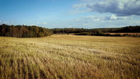 Time-lapse of clouds in the field Stock Footage 95165847