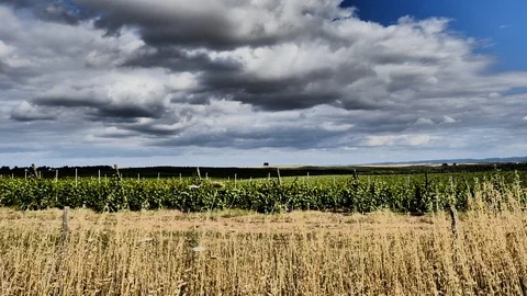 Time Lapse Clouds At Field Stock Footage 96576099