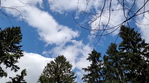 Time lapse clouds float in the sky in the forest Video stock 187550522