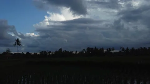 Time lapse clouds floating on blue sky over rice field palm trees, Bali nature Stock Footage 141122204
