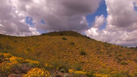 Time lapse of clouds flowing over mountain with yellow flowers Stock Footage 73746745