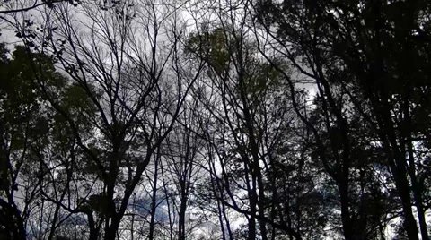 Time Lapse Clouds Video stock 32474410