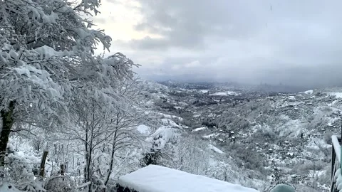 Time-lapse clouds in the forest in winter Stock Footage 164088906