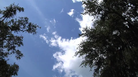 Time lapse, Clouds form then dissipate under blue sky, two trees, time lapse Stock-Footage 27952459