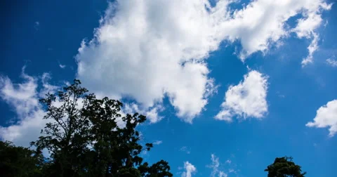 Time Lapse of Clouds forming over trees Stock Footage 65050899
