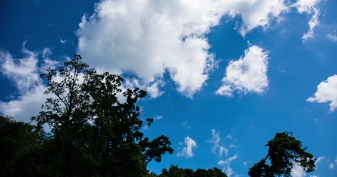 Time Lapse of Clouds forming over trees Stock Footage 65050901