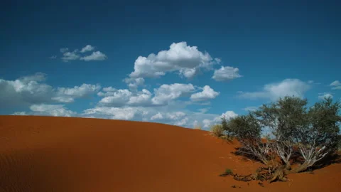 Time lapse of clouds gathering over a red Kalahari dune during afternoon Stock Footage 170886961