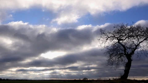 Time lapse of clouds going past tree England winter 4K 스톡 동영상 86000846