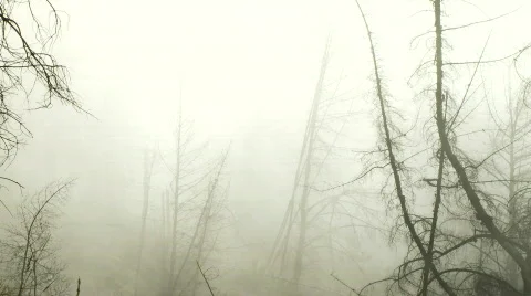 Time Lapse of Clouds, Mountains and Trees - Clip 1 Stock Footage 644261