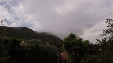 Time lapse clouds, mountains and palms in Corfu, Greece Stock Footage 82238189