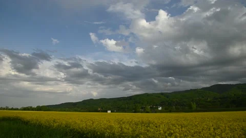 Time lapse of clouds moving above blooming oil seed field on a sunny day Stock-Footage 154849343