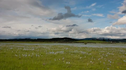 Time-lapse of clouds moving across Weippe Prairie, Idaho Vidéo 68623407