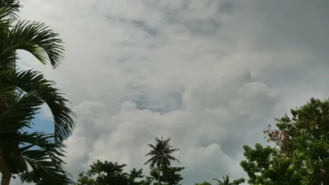 Time lapse of clouds moving behind palm trees on Island Philippines. rapid time Stock Footage 228322121
