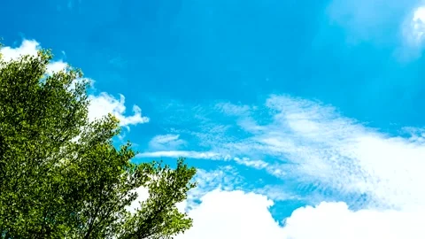 Time lapse of clouds moving in the blue sky with tree foreground , countryside C Stock-Footage 154942122
