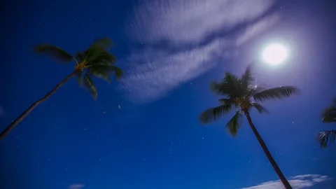 Time Lapse - Clouds Moving Fast over Palm Trees with Moon Setting Stock Footage 74245294