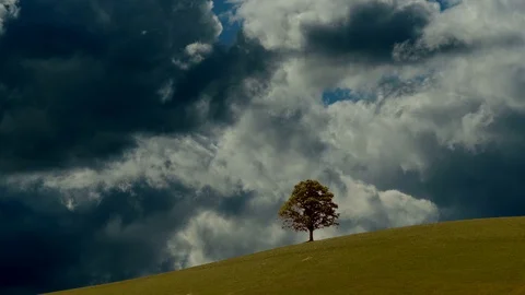 Time lapse of Clouds Moving Fast in Tree Nature Landscape Stock Footage 86858824