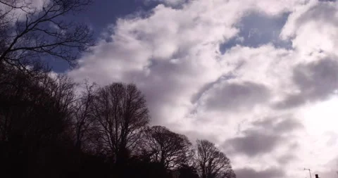 Time-lapse of clouds moving horizontally with trees and sun flare Stock Footage 148037505