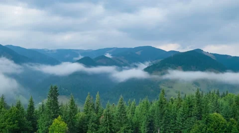 Time lapse clouds moving over pine tree highland forest. Foggy morning landscape Stock Footage 54922848