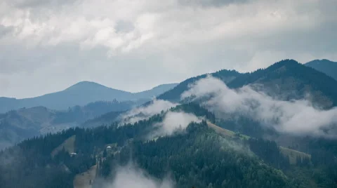 Time lapse clouds moving over pine tree highland forest. Foggy morning landscape Stock-Footage 54922946
