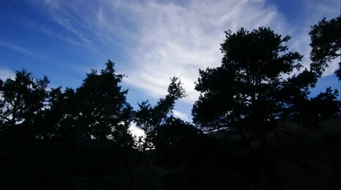 Time lapse clouds moving over silhouette trees. Stock Footage 55495638